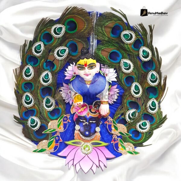 Shreenath Ji special peacock theme Designer with chunri for Bal Radha Rani - Image 2