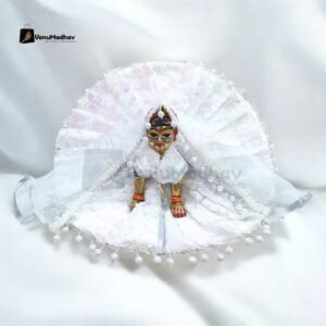 Soft White Designer Work Net Poshak with Dupatta for Radha Rani